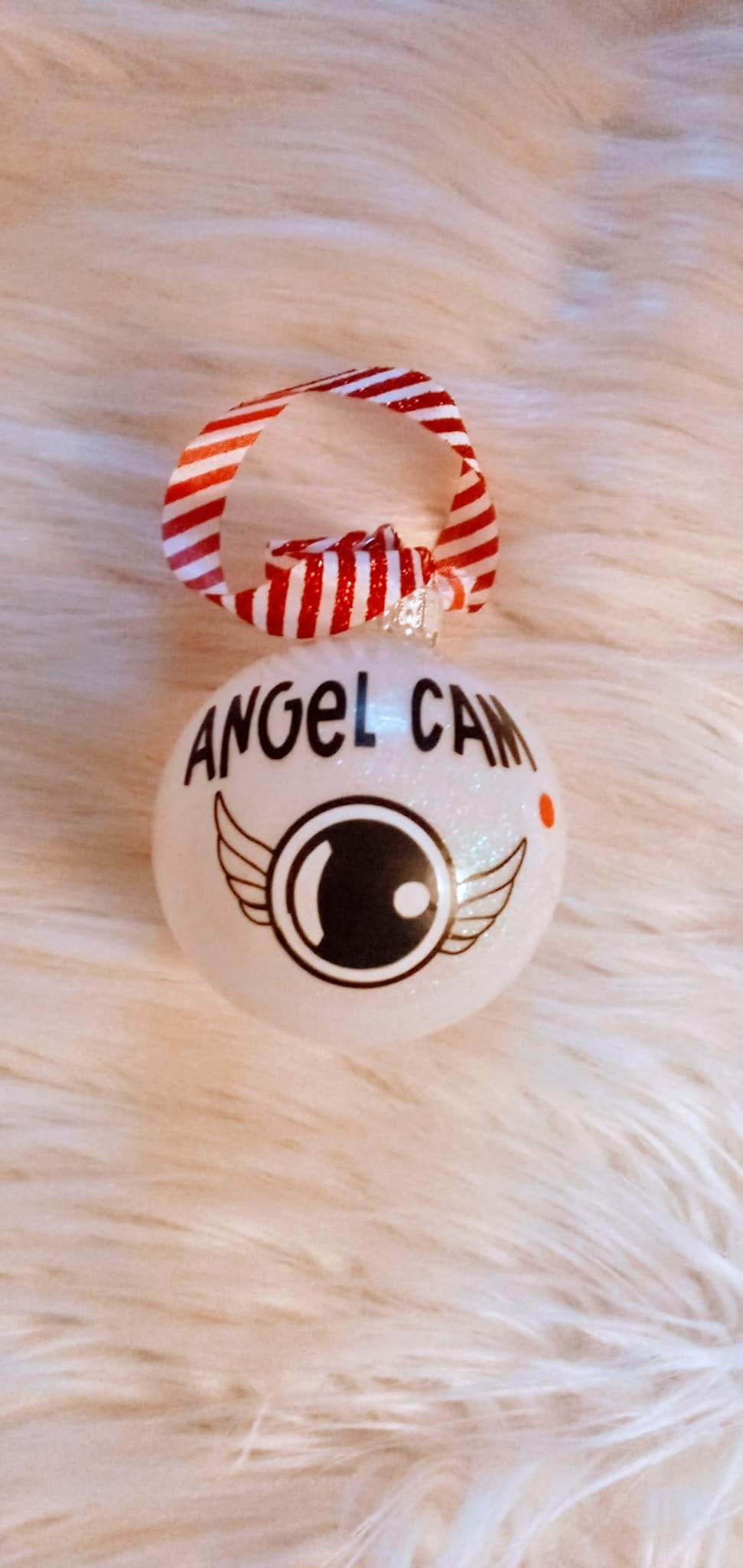 Angel Cam