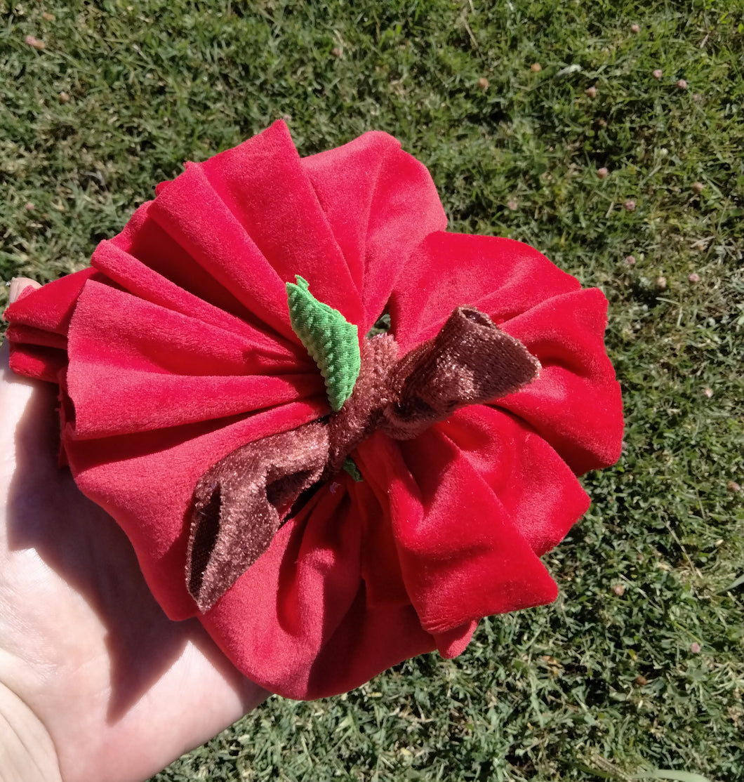 Apple shredded bow