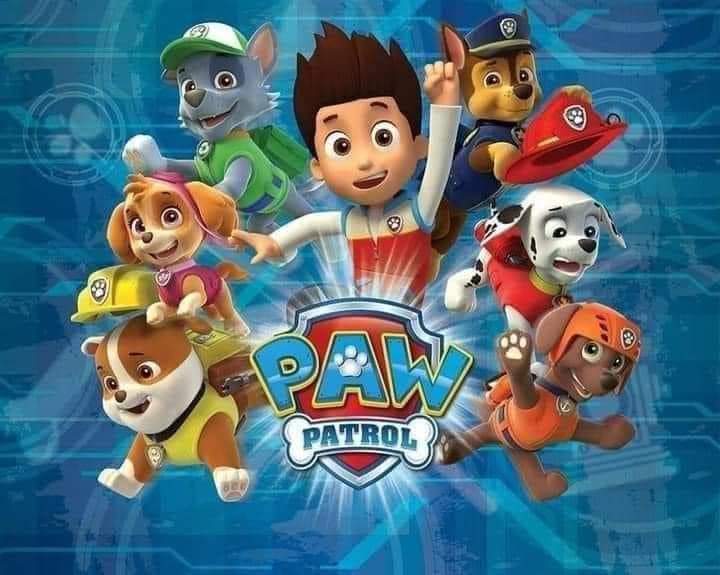 Paw patrol mystery box
