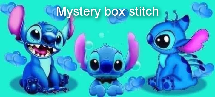 Stitch mystery box