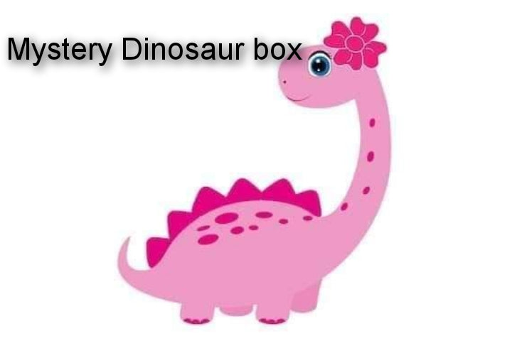 Mystery dino box