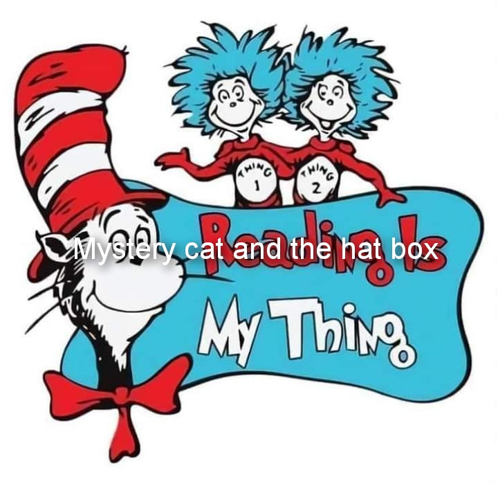 Cat and hat mystery box